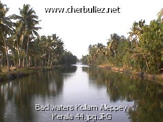légende: Backwaters Kollam Alleppey Kerala 44.jpg.JPG
qualityCode=raw
sizeCode=half

Données de l'image originale:
Taille originale: 108125 bytes
Heure de prise de vue: 2002:02:26 13:49:28
Largeur: 640
Hauteur: 480
